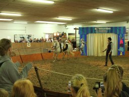 IMG_5262_web